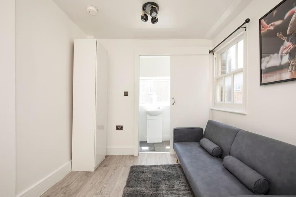 Spacious Serenity In The Heart Of Apartament Londra